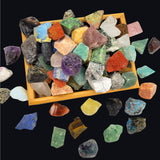 SeeuFun empaque frontal con caja de 5 lb y variedad de piedras naturales