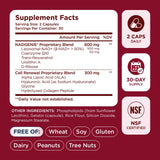 Ingredientes Selerb sobre mesa, mostrando su perfil antioxidante