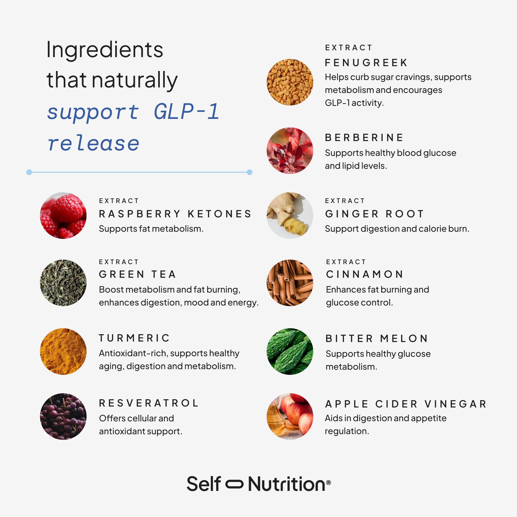 SELF NUTRITION comparación de tamaño, idéntica porción para viajes