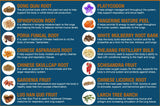 Serrasolv 360 lista de ingredientes naturales que destaca la mezcla de 14 hierbas