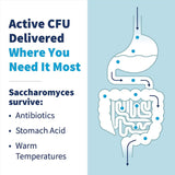 SFI Health cápsulas en mano para comparar tamaño y facilitar uso