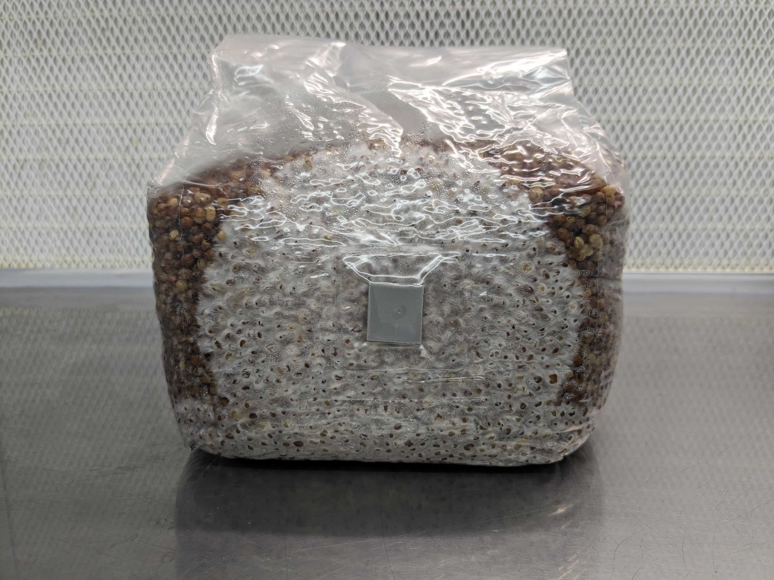 SGM LABS macro del grano Milo/Sorgo hidratado, textura nutritiva