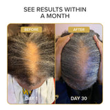 Shedavi selección de hierbas e ingredientes naturales, origen global