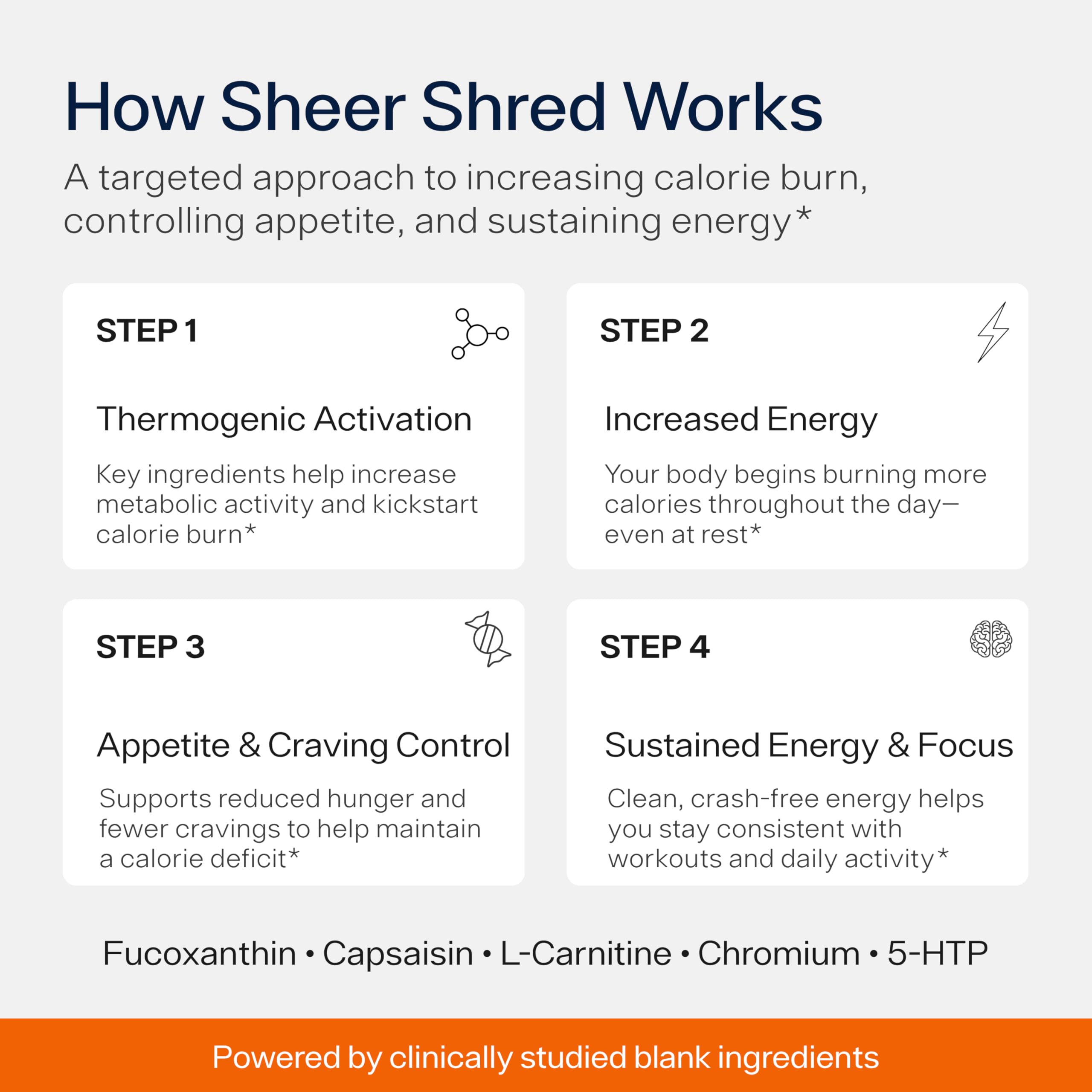 Sheer Strength Labs botella junto a mano para comparar tamaño real