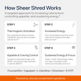 Sheer Strength Labs botella junto a mano para comparar tamaño real