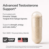 Sheer Strength Labs etiqueta nutricional con dosis divulgadas para claridad y seguridad