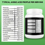 SHIFAA NUTRITION iconos keto paleo halal mostrando compatibilidad dietética