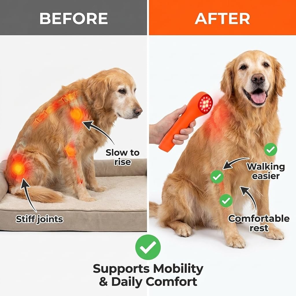 SHINE VetLight Pro en mano mostrando portabilidad para usar en casa