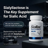 SIALLAC tableta en primer plano textura y recubrimiento visible