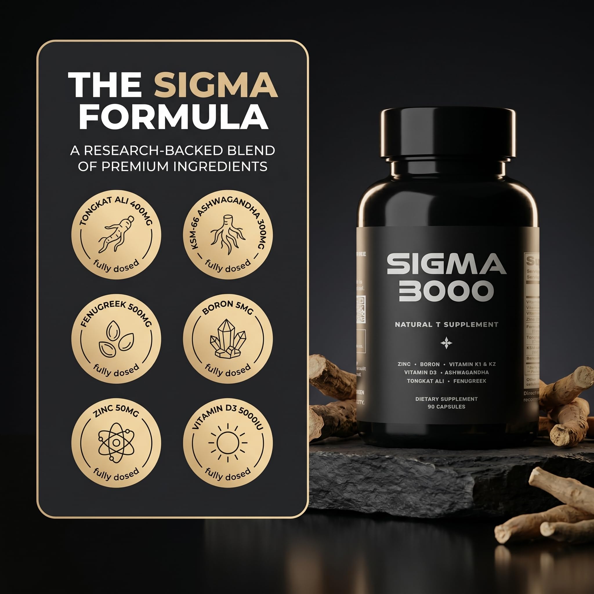 SIGMA 3000 comparación de tamaño en manos para referencia