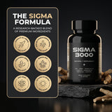 SIGMA 3000 comparación de tamaño en manos para referencia
