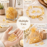 SigMntun chips usados como relleno en florero para decoración elegante
