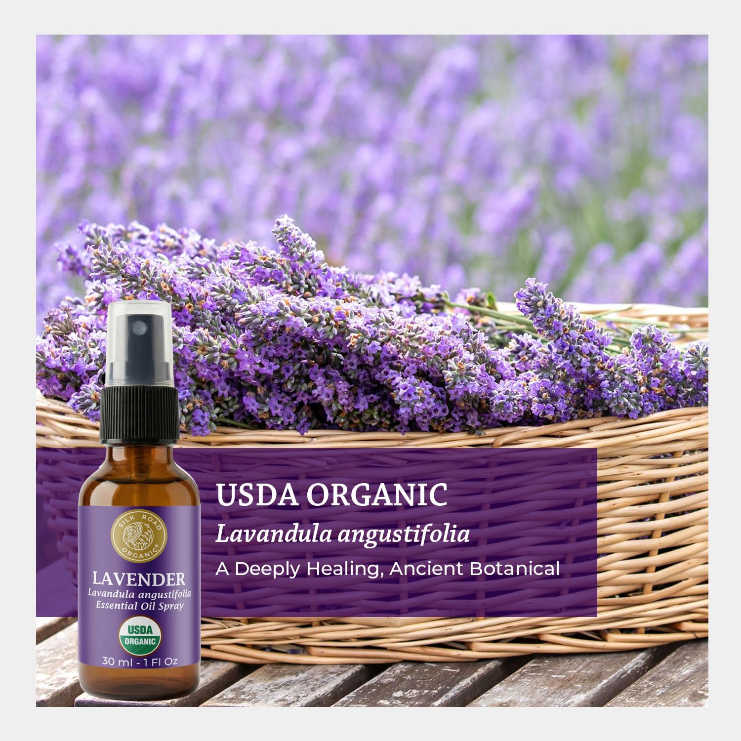 Silk Road Organic botella sobre flores de lavanda evocando origen botánico auténtico