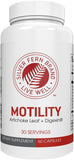 Silver Fern frascos en ambiente hogareño transmitiendo apoyo digestivo natural
