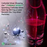 SilverGuard junto a una regla para comparar tamaño del envase
