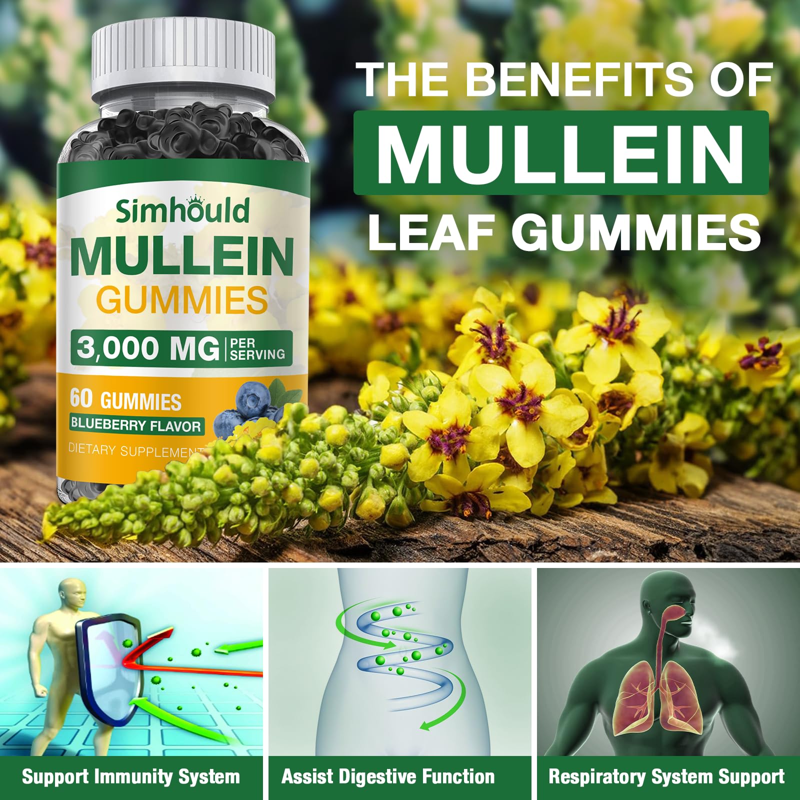 Simhould etiqueta de ingredientes destacando mullein, quercetina y bromelina