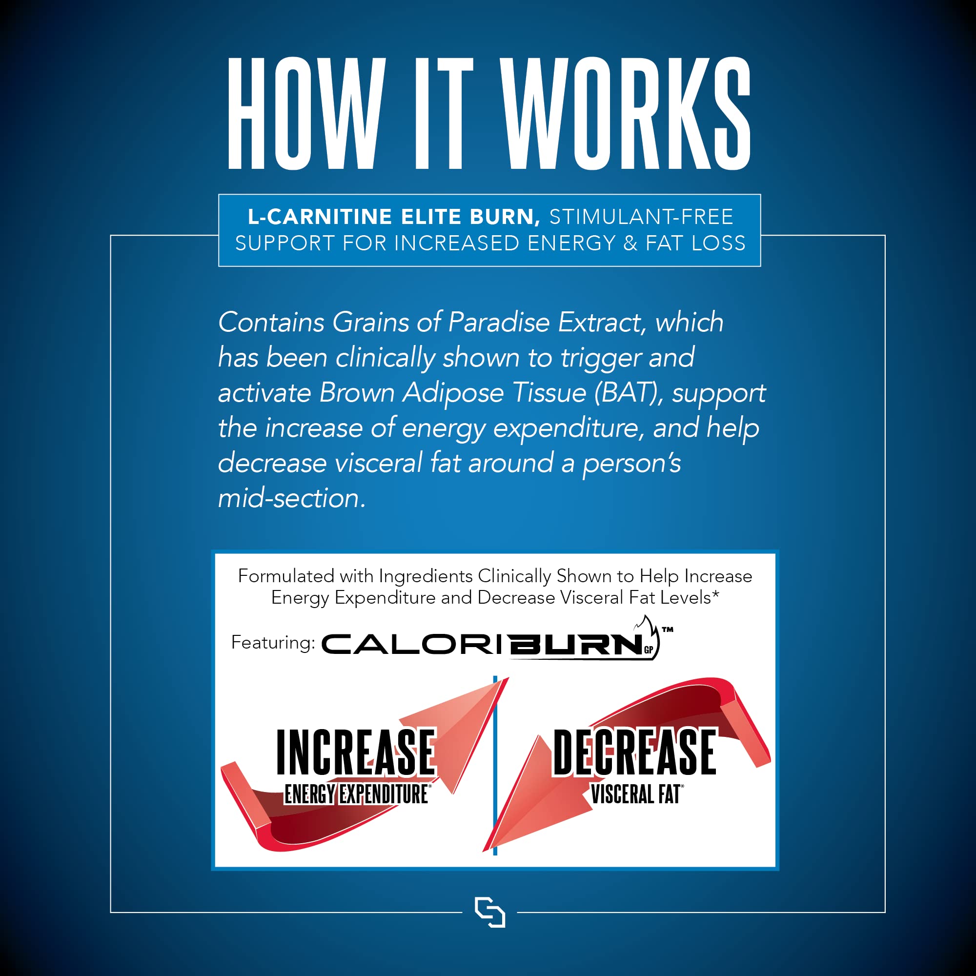 SIRENLABS primer plano de ingredientes que resalta Grains of Paradise