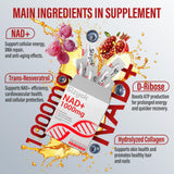 Sizyok etiqueta con ingredientes destacando resveratrol y colágeno