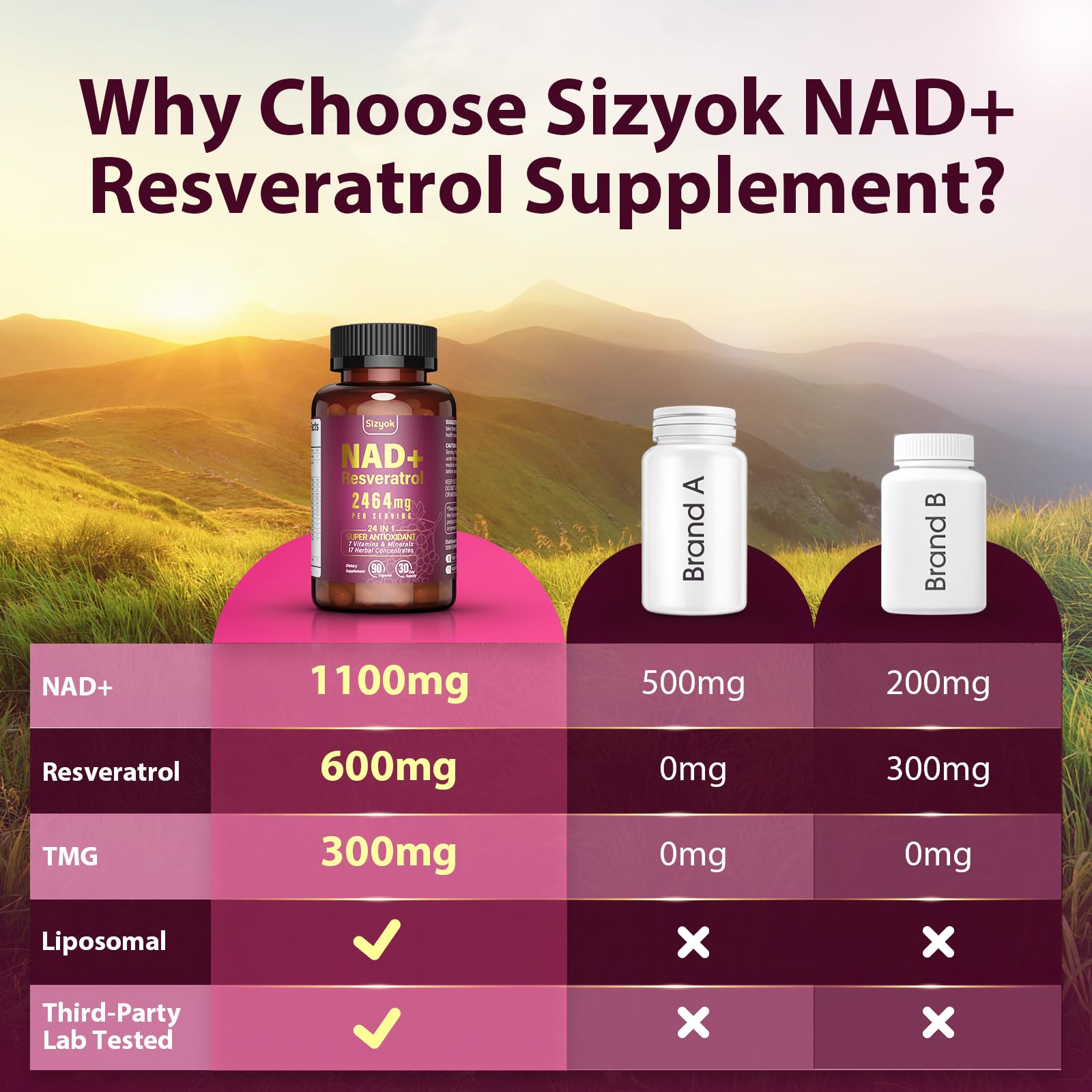 Sizyok ingredientes naturales en disposición mostrando perfil antioxidante