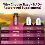 Sizyok ingredientes naturales en disposición mostrando perfil antioxidante