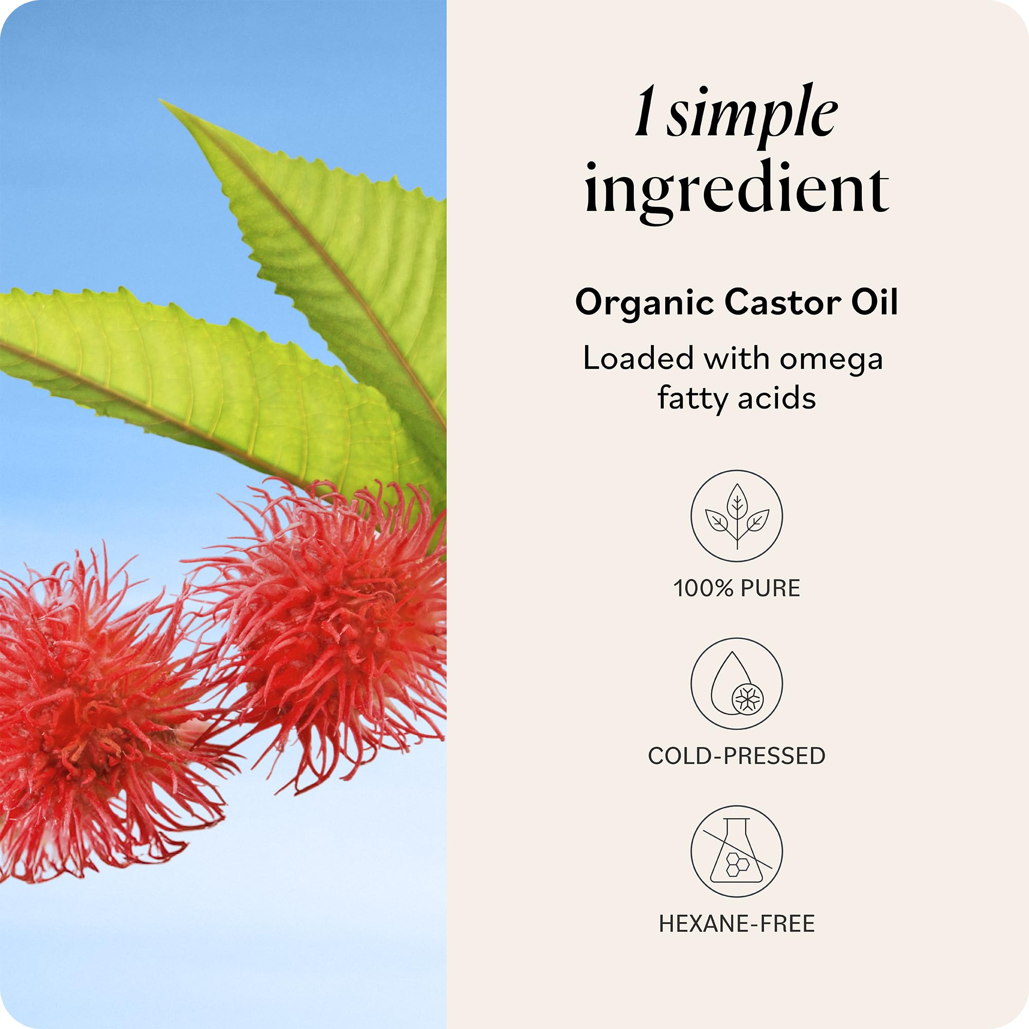 Sky Organics etiqueta con ingredientes indicando origen orgánico