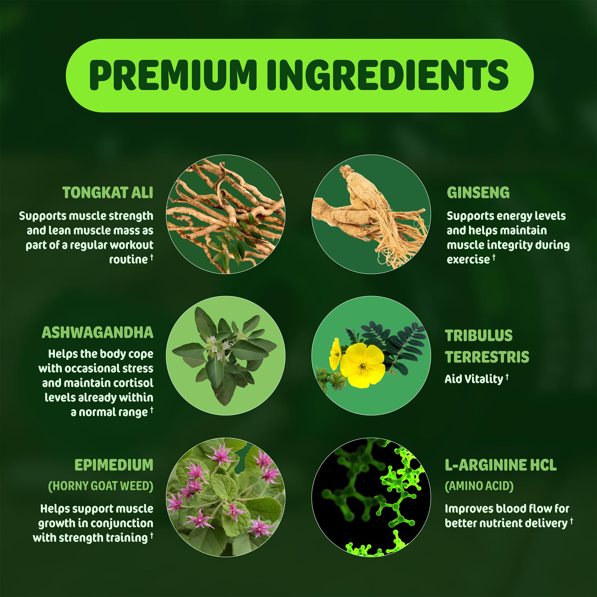SLADAK NATURALS cápsulas en la mano para comparar tamaño y facilidad de ingestión