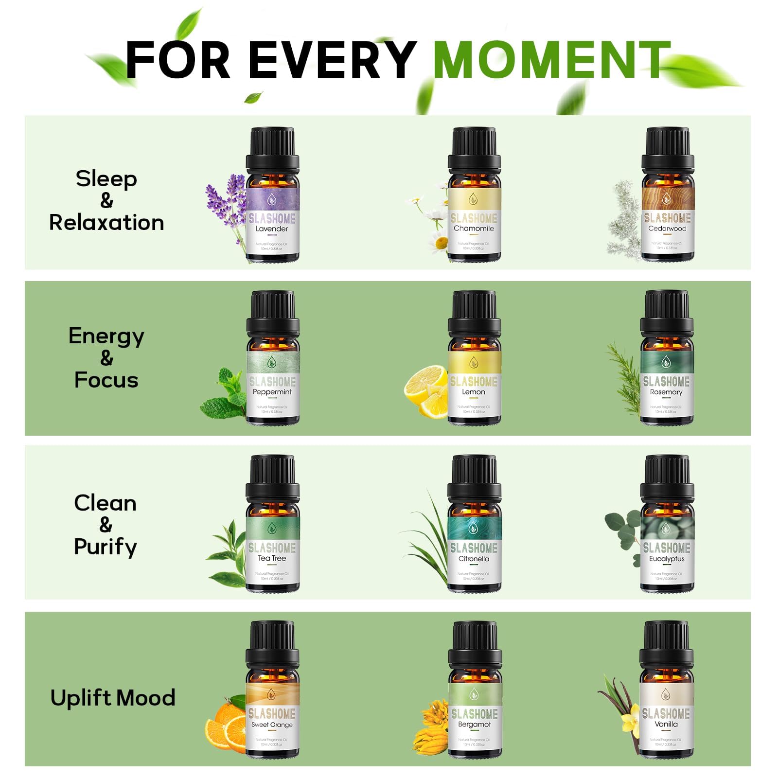 slashome conjunto de 12 botellas de 10 ml alineadas mostrando variedad aromática y orden