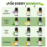 slashome conjunto de 12 botellas de 10 ml alineadas mostrando variedad aromática y orden