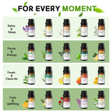 slashome frascos alineados sobre mesa mostrando variedad de aromas y colores