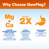 Slow-Mag gráfico comparativo de formas de magnesio y absorción