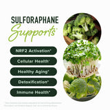 SMNutrition macro de microperlas que protege sulforafano y mejora absorción