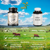 SMSHEALTHPRODUCTS polvo de hígado desecado mostrando textura concentrada y aporte mineral