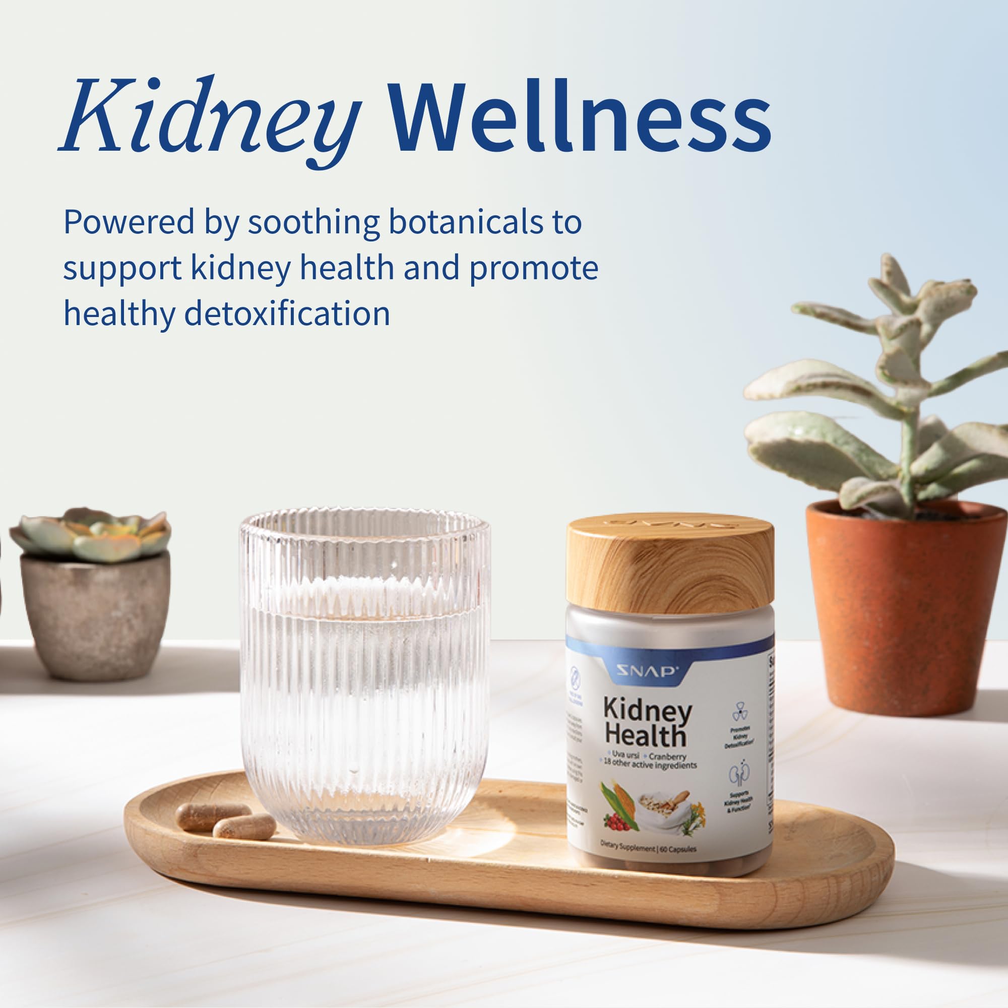 Snap Supplements ingredientes arándano y uva resaltando origen vegetal