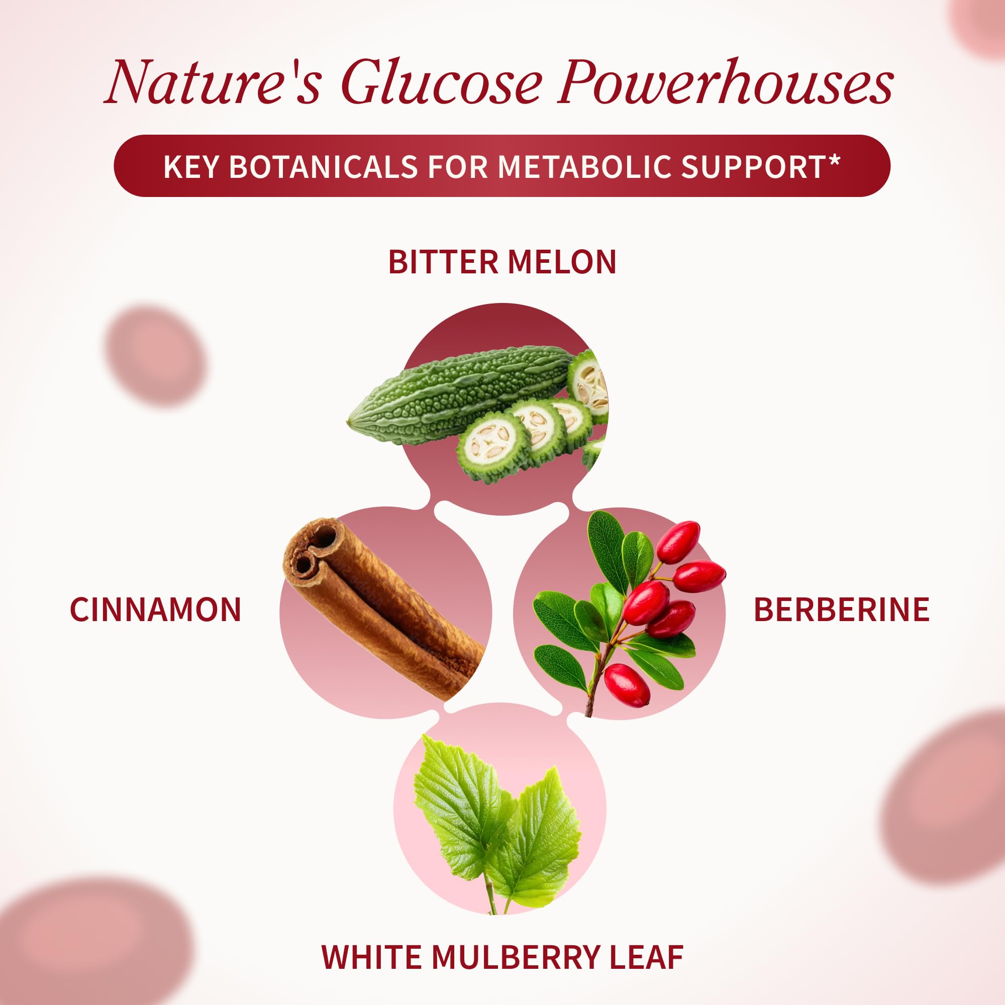 Snap Supplements primeros planos de ingredientes botánicos y sus beneficios