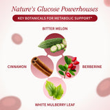 Snap Supplements primeros planos de ingredientes botánicos y sus beneficios