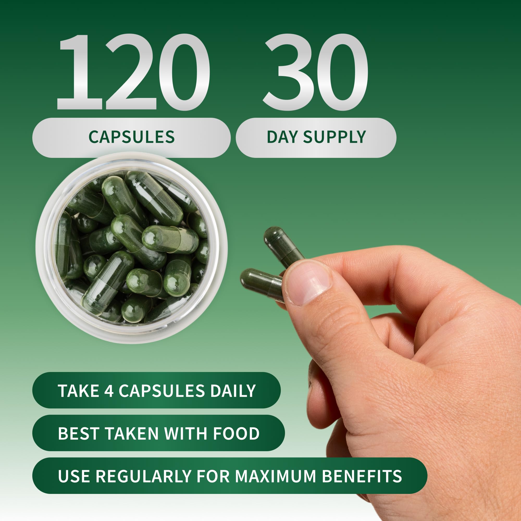 Snap Supplements ingredientes crudos: spirulina, chlorella, alfalfa y pasto de trigo