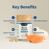 Snap Supplements ingredientes clave como Lion's Mane y cúrcuma visibles