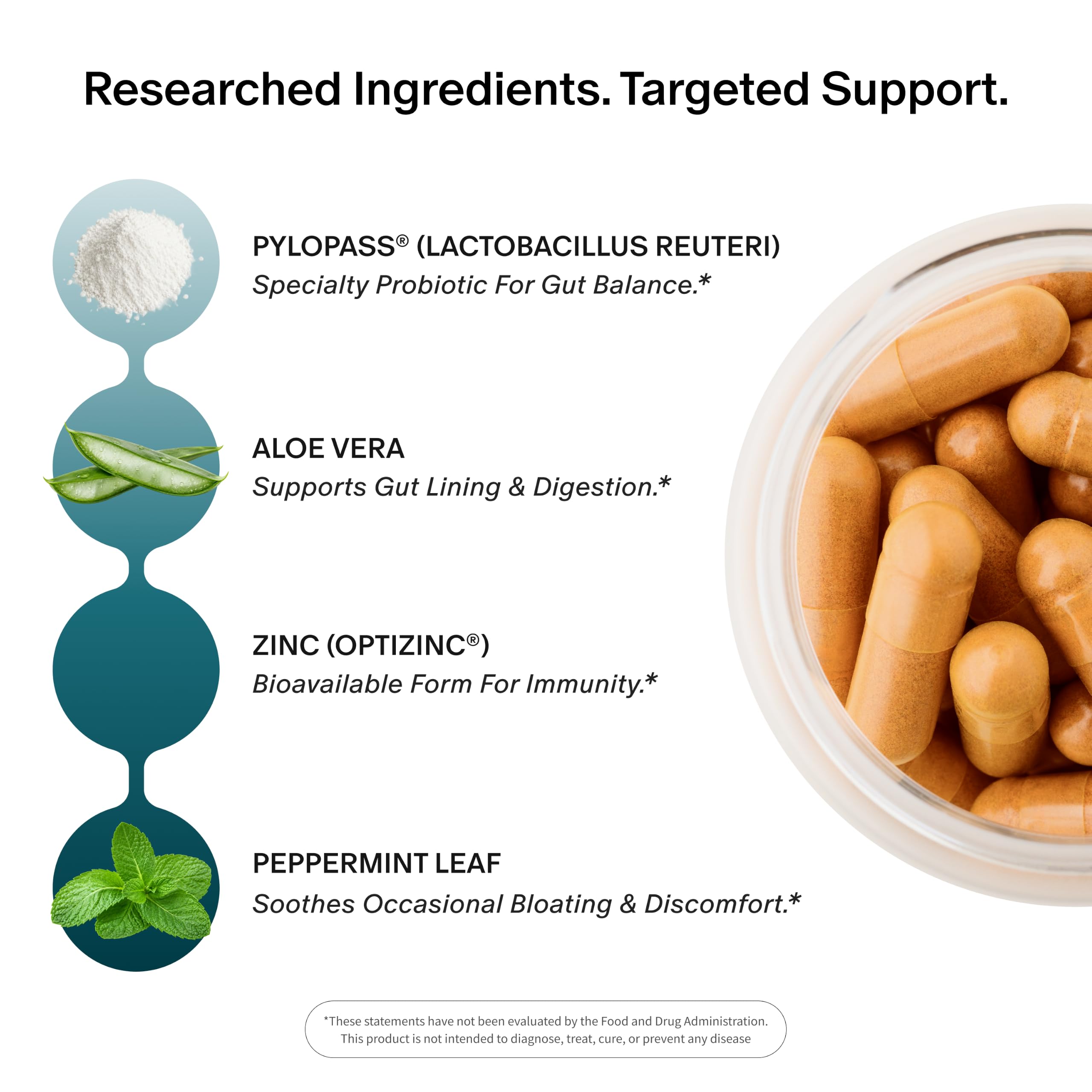 Snap Supplements detalle de la mezcla en polvo destacando ingredientes naturales