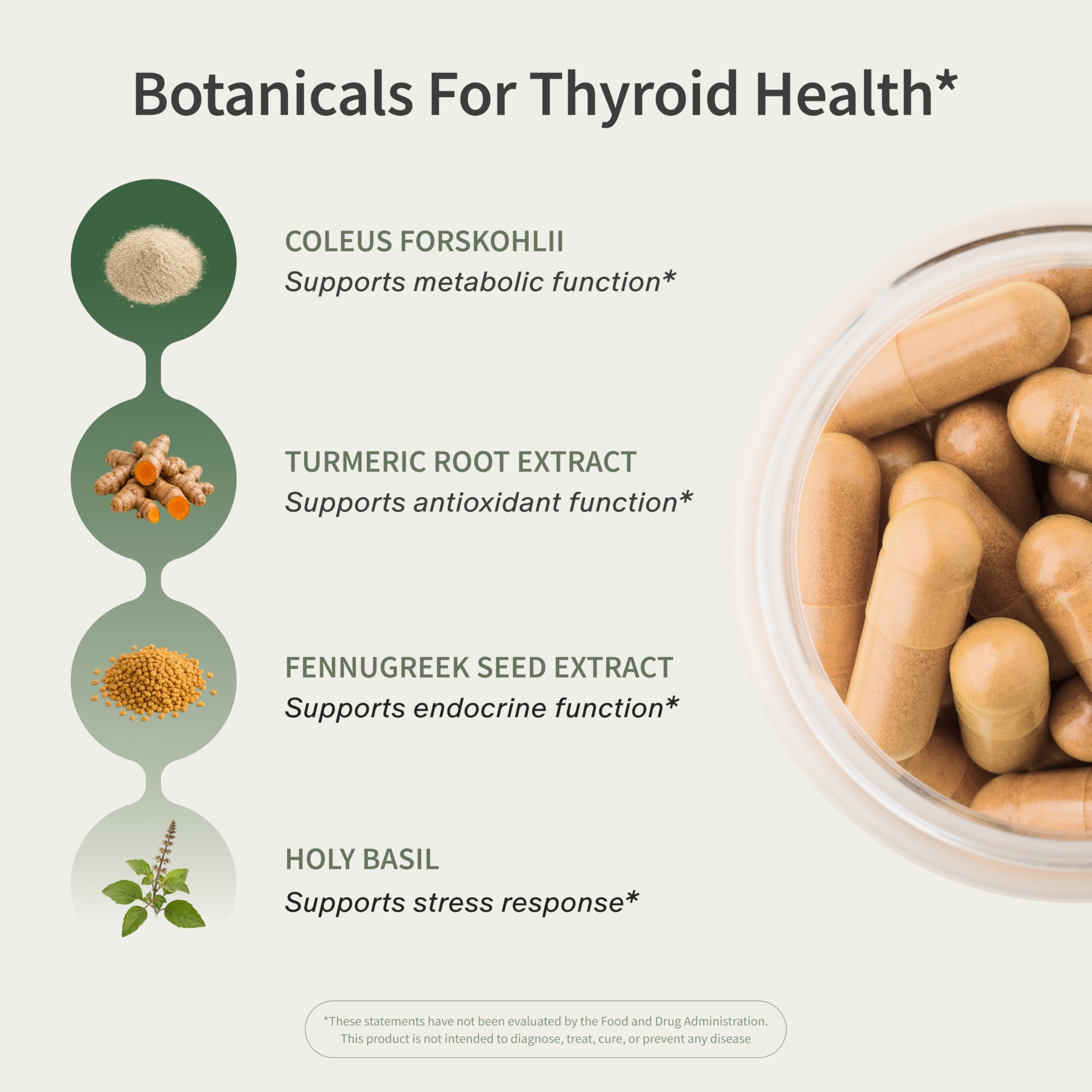 Snap Supplements etiqueta nutricional con ingredientes clave y pureza