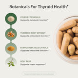 Snap Supplements etiqueta nutricional con ingredientes clave y pureza