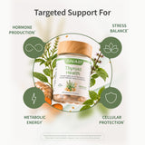 Snap Supplements ingredientes principales ilustrados y apoyo metabólico