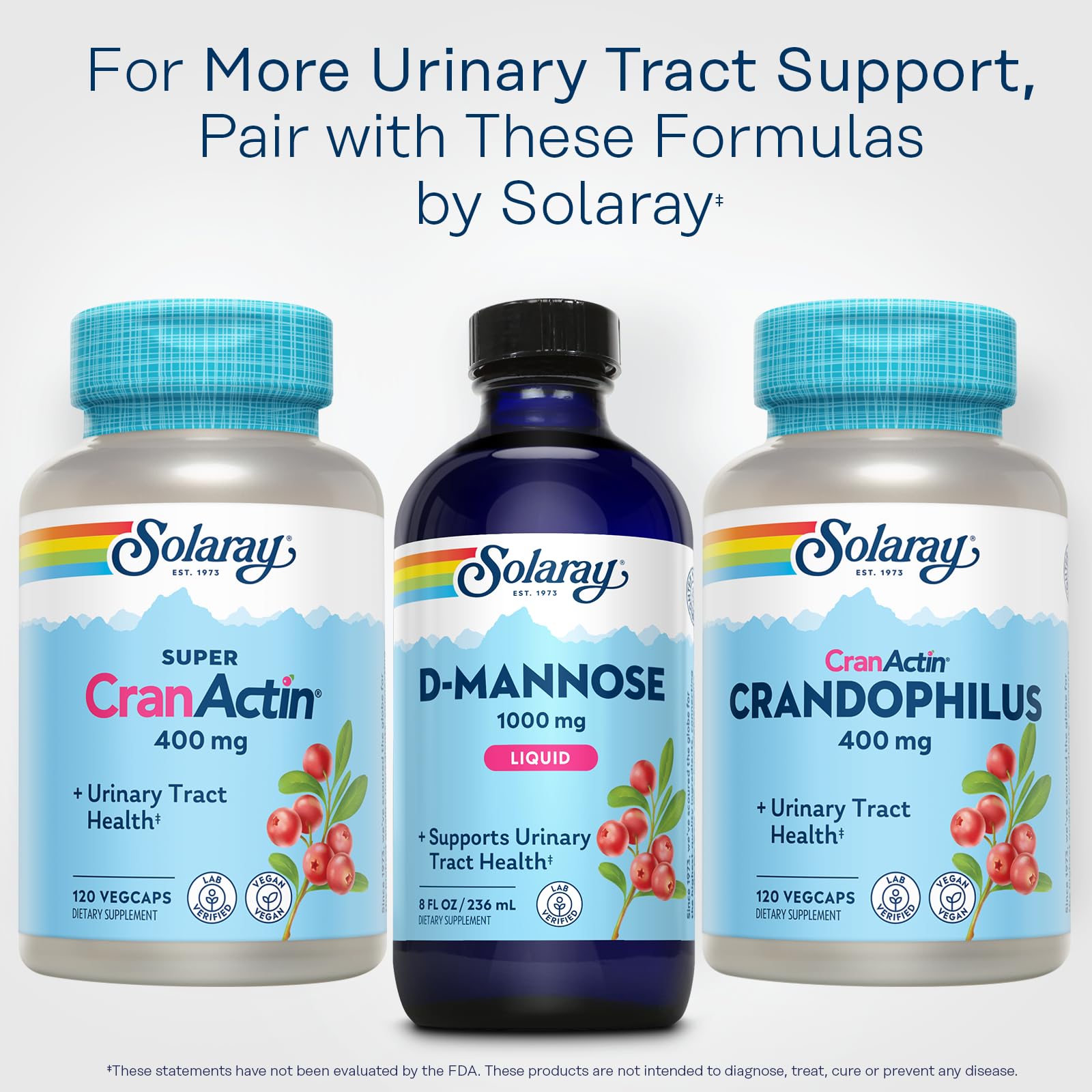 SOLARAY producto en cocina luminoso, transmite frescura y uso diario
