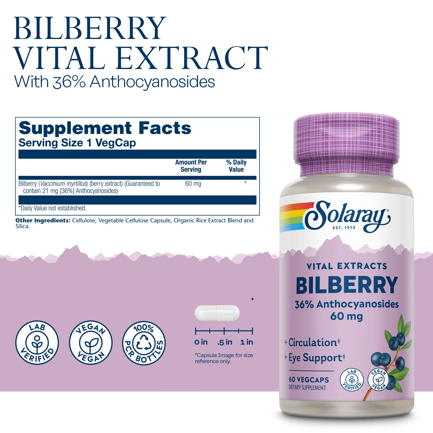 SOLARAY polvo de extracto de bilberry detalle señalando concentración
