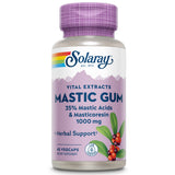 SOLARAY frasco de Mastic Gum Extract frontal mostrando etiqueta y beneficios