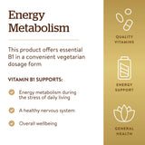 Etiqueta nutricional Solgar Vitamina B1 que muestra ingredientes y certificaciones sin alérgenos