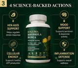 Soluma Rhodiola cápsula en mano para comparar tamaño y conveniencia