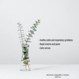 Spa Sense etiqueta con lista de ingredientes y origen de producto