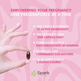 Spark Nutrition ingredientes clave folato y omega‑3 ilustrados para transparencia