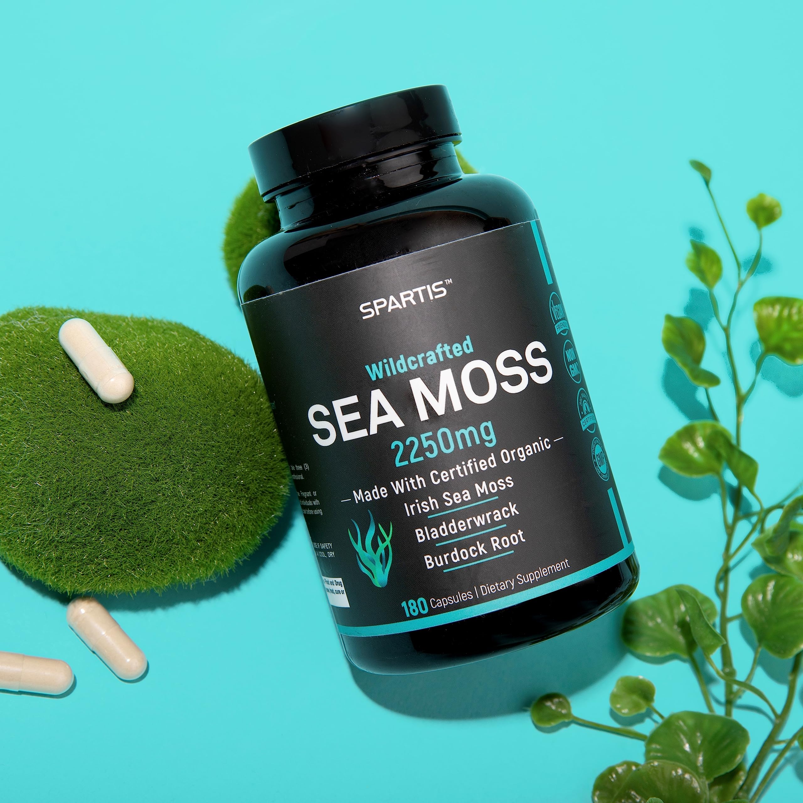 SPARTIS primer plano musgo irlandés, fuente natural de nutrientes