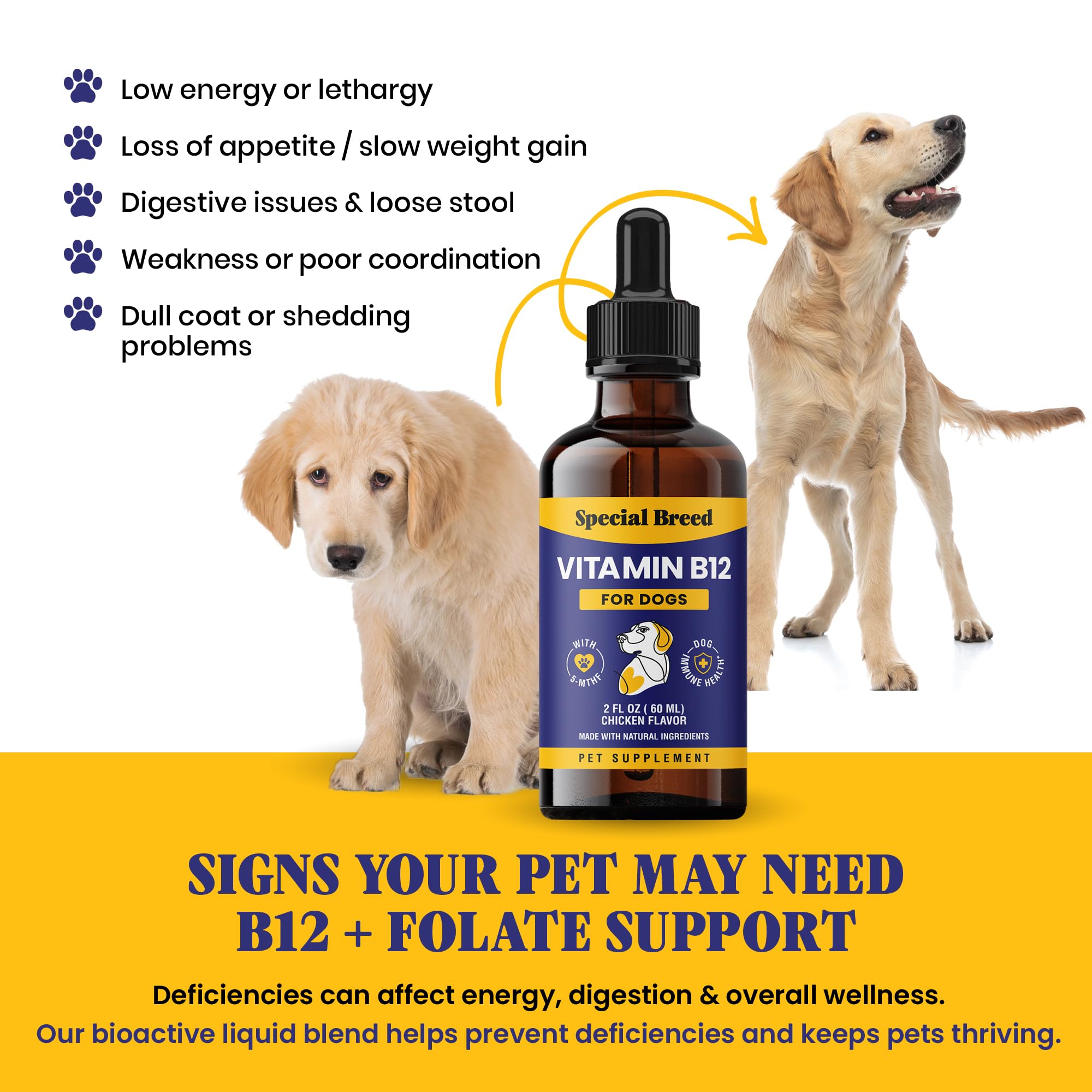 Special Breed comparación de tamaño del frasco 2 fl oz al lado de una mano